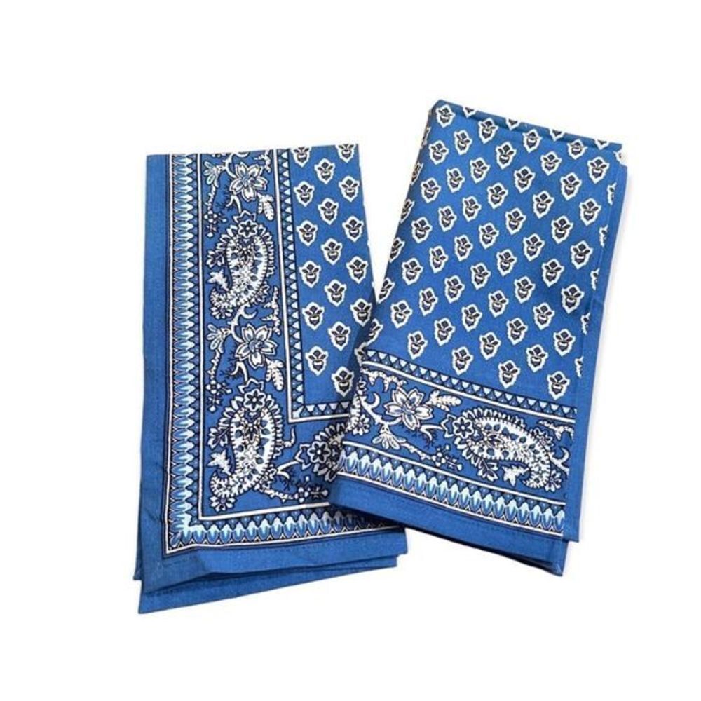 Ridgefield Home Napkins set of 2 cotton paisley blue white new